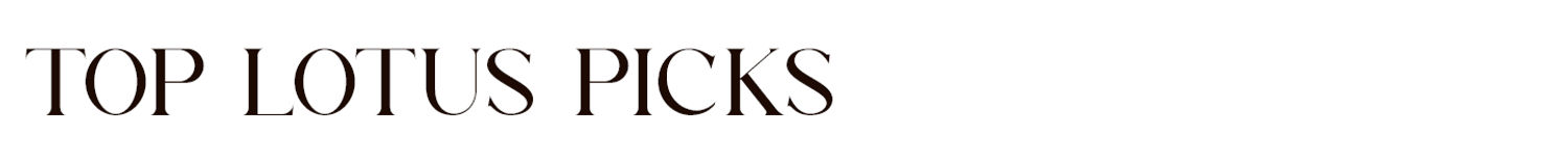 LOTUS13062025151726_07fb7681.png